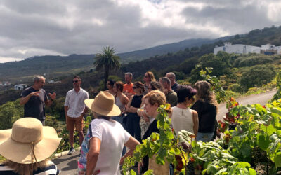 Éxito de la jornada de puertas abiertas de las bodegas de Canary Wine “Descorcha Canarias”